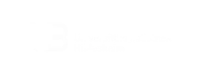 UB Hildesheim